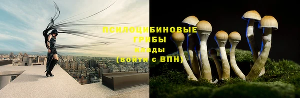дмт Гусев